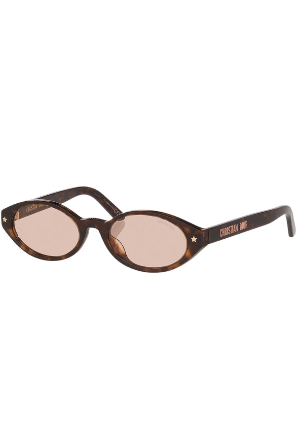 DiorPacific Oval Logo-Temple Sunglasses
