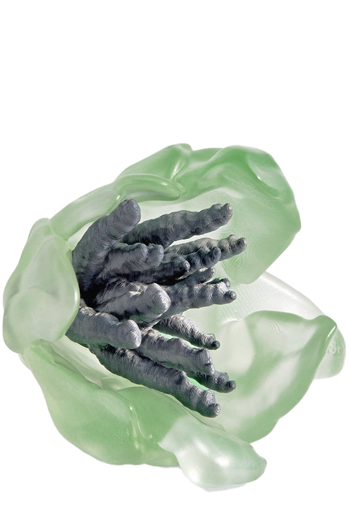 Parrot Growing Ring