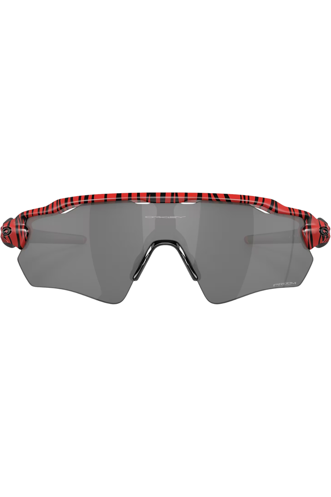 The Radar EV Path sunglasses from the brand OAKLEY