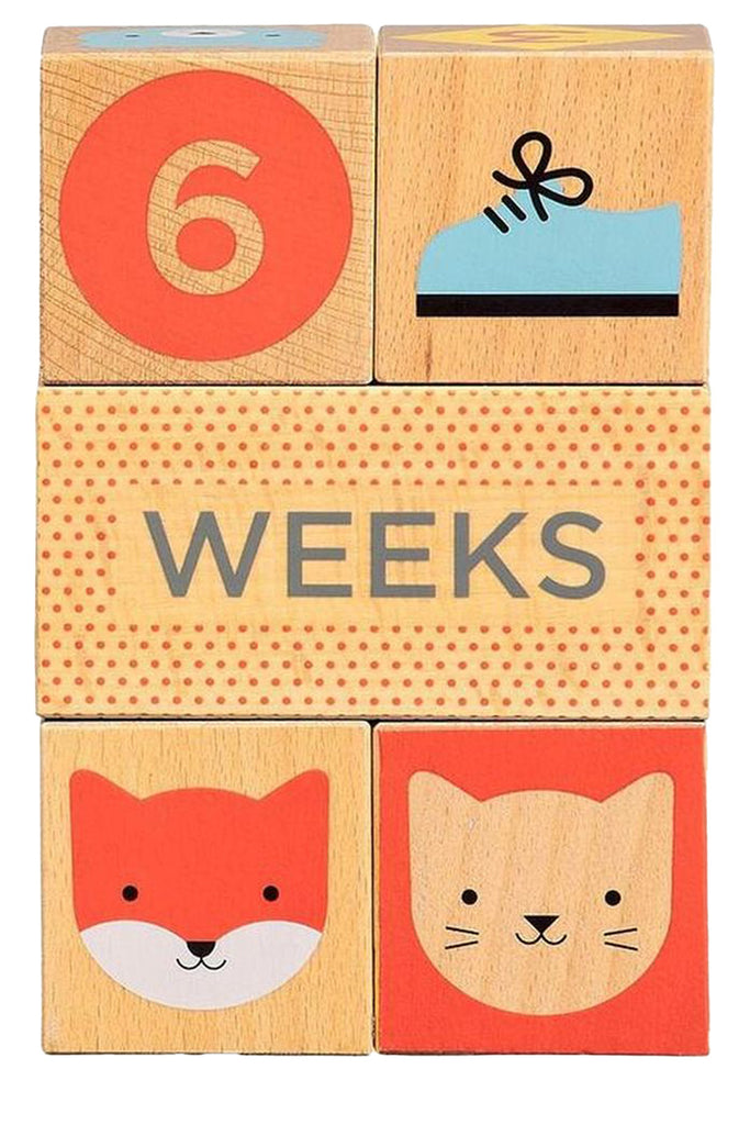 Wooden Milestone Baby Blocks