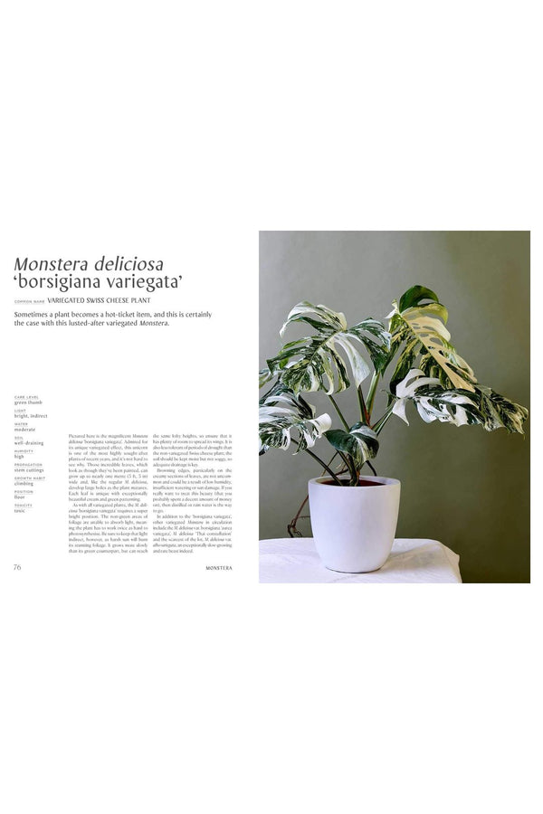 Plantopedia: The Definitive Guide To Houseplants By Lauren Camilleri And Sophia Kaplan